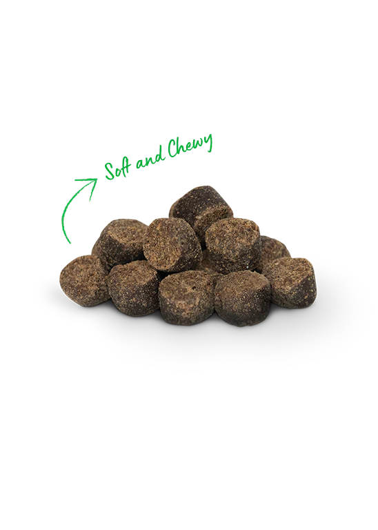 Open Farm Be Good Bites Chicken Recipe Dog Treat 170G