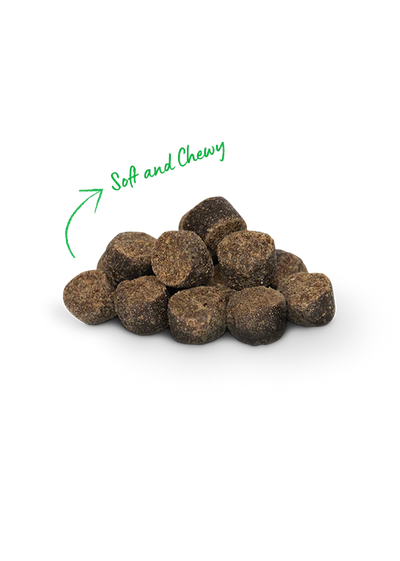Open Farm Be Good Bites Chicken Recipe Dog Treat 170G