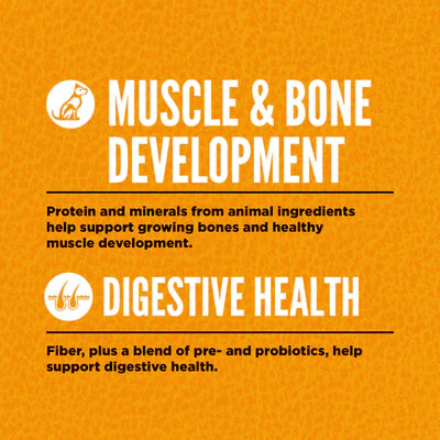 Orijen Puppy All Breed Protein-Rich Dry Dog Food