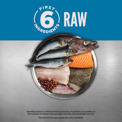 Orijen Six Fish Formula Protein-Rich Grain Free Diet Cat Dry Food