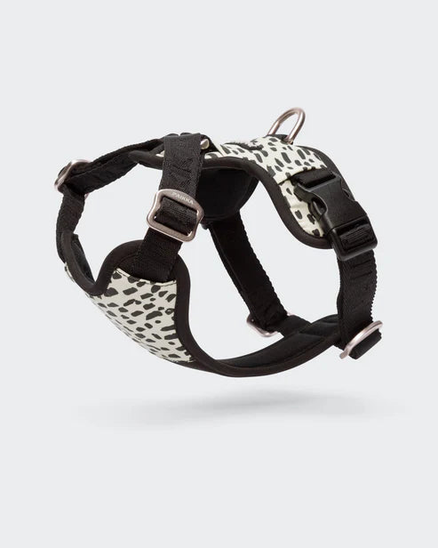 PAIKKA Harness 2.0 for Dogs