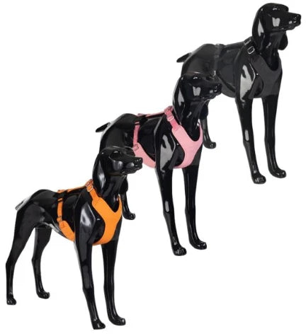 PAIKKA Visibility Harness for Dogs