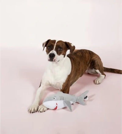 PetShop by Fringe Studio Feeling Sharky Plush Dog Toy