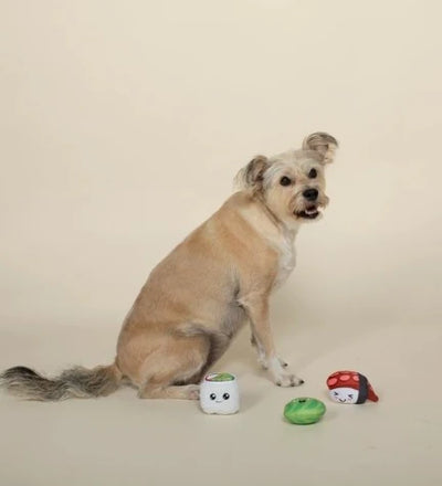 PetShop by Fringe Studio Sushiholic 3pcs Mini Dog Toy