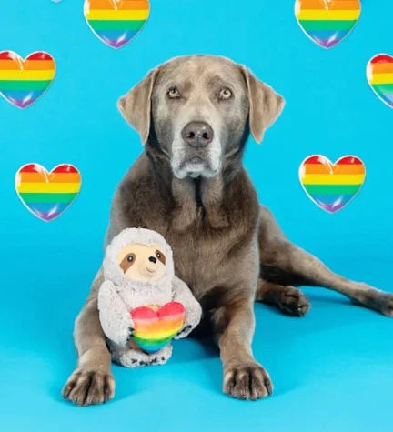 Petshop by Fringe Studio Follow Your Rainbow Plush Dog Toy