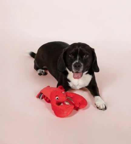 Petshop by Fringe Studio You're My Lobster Dog Toy