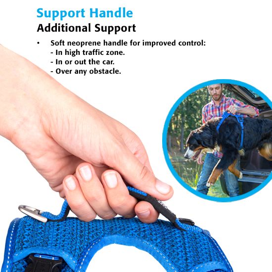 Rogz Explore Dog Harness