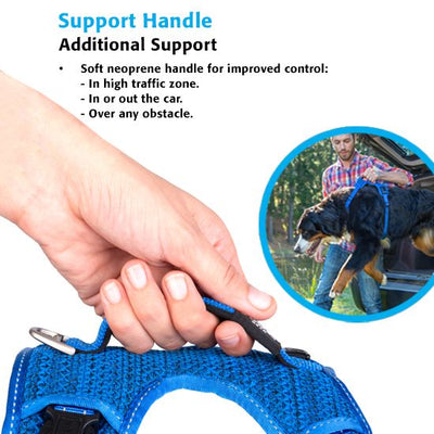 Rogz Explore Dog Harness