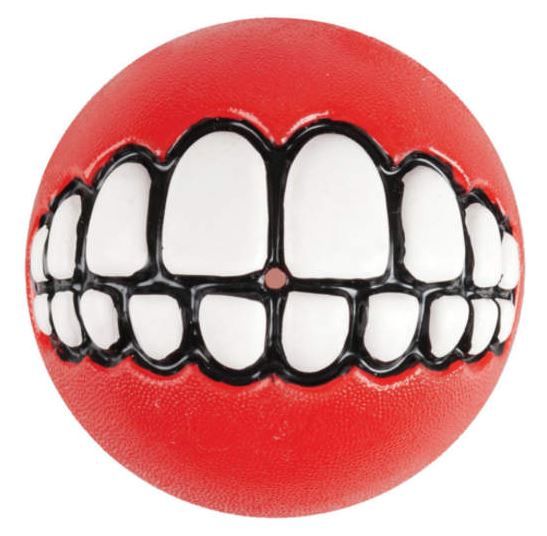 Rogz Grinz Ball Dog Toy