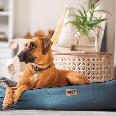 Rogz Indoor Cushion Dog Bed