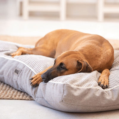 Rogz Indoor Flat Dog Bed