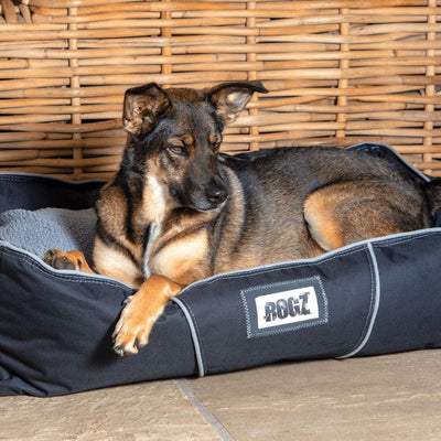 Rogz Lekka Cushioned Dog Bed