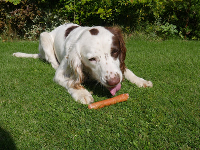 Rosewood Daily Eats Hot Dog Sausages Dog Treats 220g