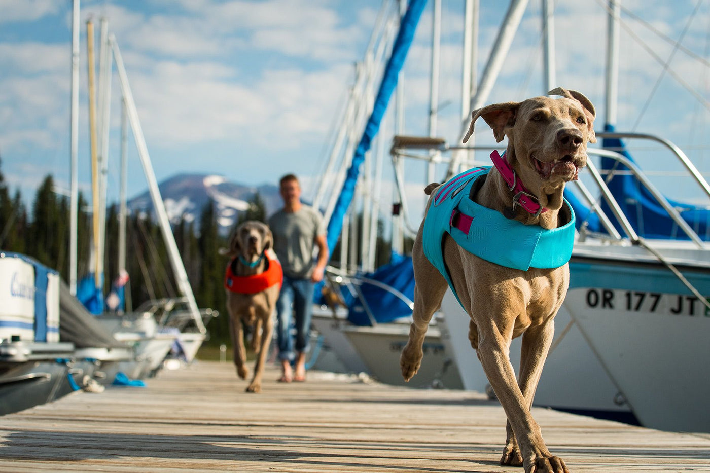 Ruffwear Float Coat Dog Life Jacket
