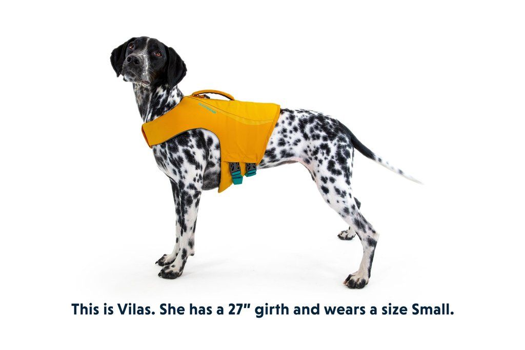 Ruffwear Float Coat Dog Life Jacket