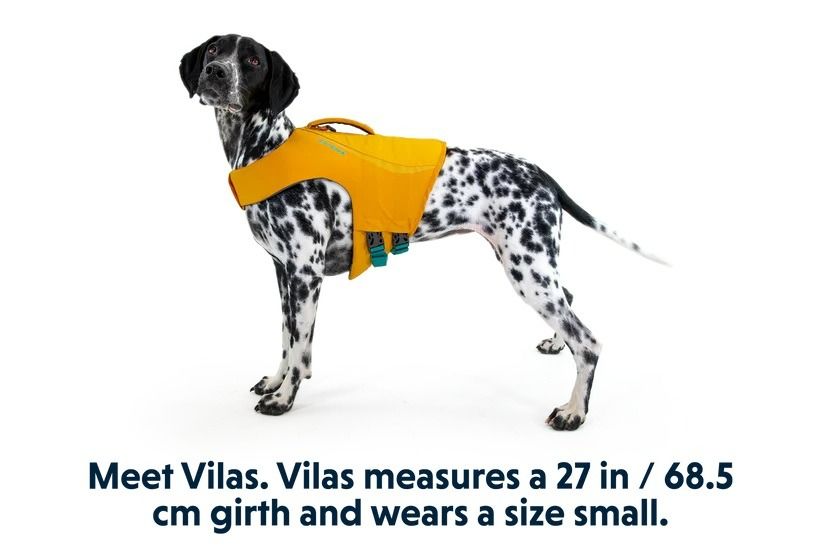 Ruffwear Float Coat Dog Life Jacket
