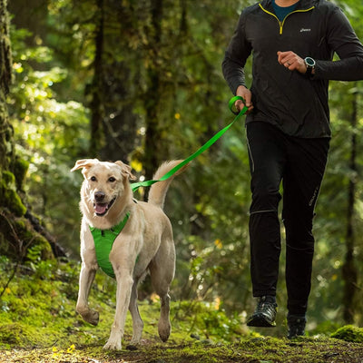 Ruffwear Front Range Dog Leash