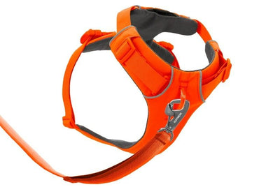 Ruffwear Front Range Padded Dog Harness