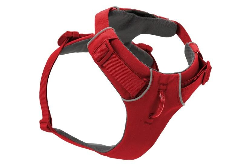 Ruffwear Front Range Padded Dog Harness