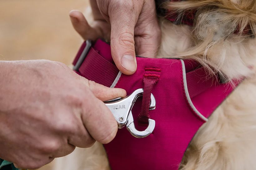 Ruffwear Front Range Padded Dog Harness