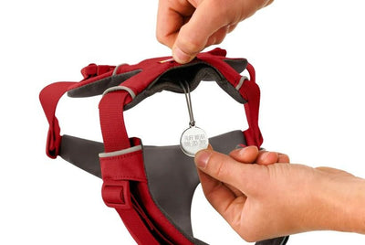 Ruffwear Front Range Padded Dog Harness