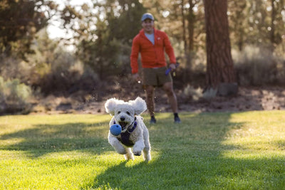 Ruffwear Huckama Rubber Throw Dog Toy