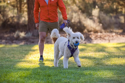 Ruffwear Huckama Rubber Throw Dog Toy