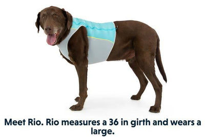 Ruffwear Jet Stream Dog Cooling Vest