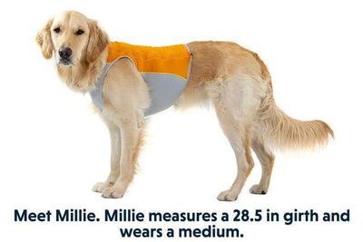 Ruffwear Jet Stream Dog Cooling Vest