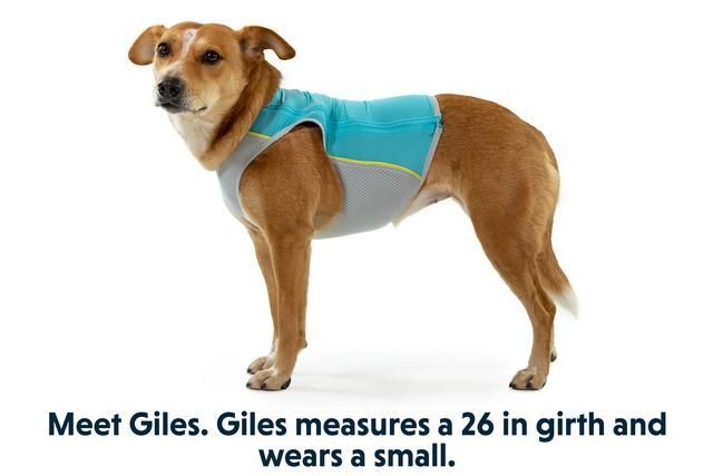 Ruffwear Jet Stream Dog Cooling Vest