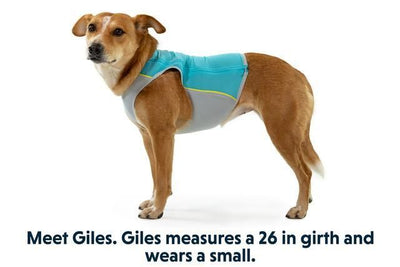 Ruffwear Jet Stream Dog Cooling Vest