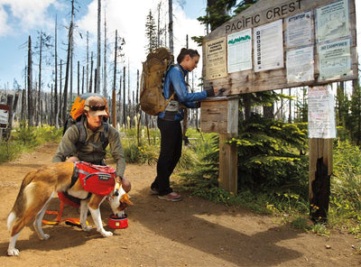 Ruffwear Palisades Multi-Day Dog Backpack