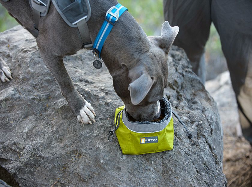 Ruffwear Quencher Cinch Top Packable Dog Bowl