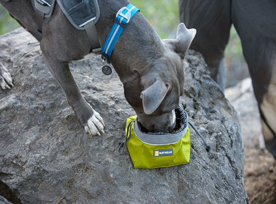 Ruffwear Quencher Cinch Top Packable Dog Bowl