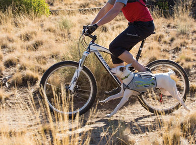 Ruffwear Singletrak Hydration Pack with Built-In Dog Harness