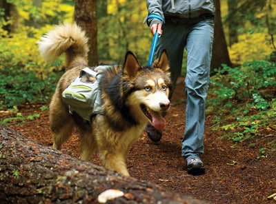 Ruffwear Singletrak Hydration Pack with Built-In Dog Harness
