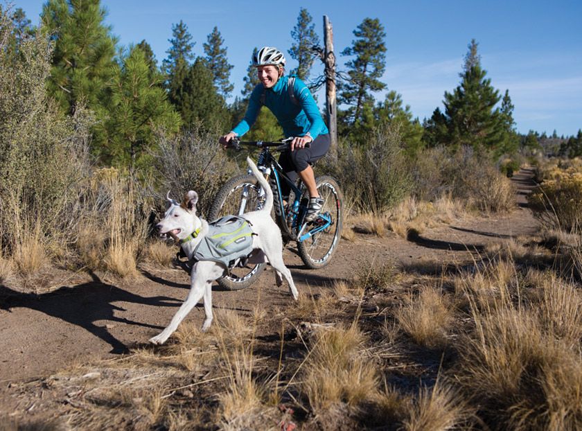 Ruffwear Singletrak Hydration Pack with Built-In Dog Harness