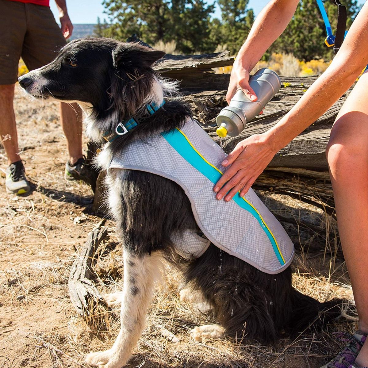 Ruffwear Swamp Cooler Cooling Dog Vest