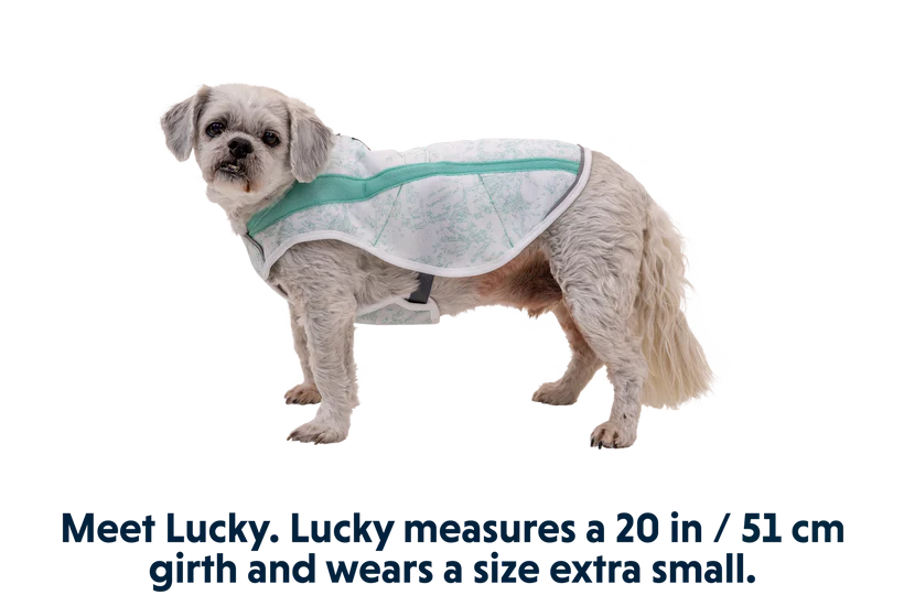 Ruffwear Swamp Cooler Cooling Dog Vest