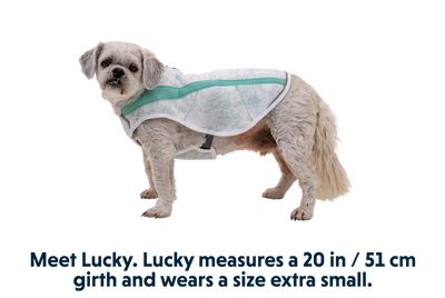 Ruffwear Swamp Cooler Cooling Dog Vest