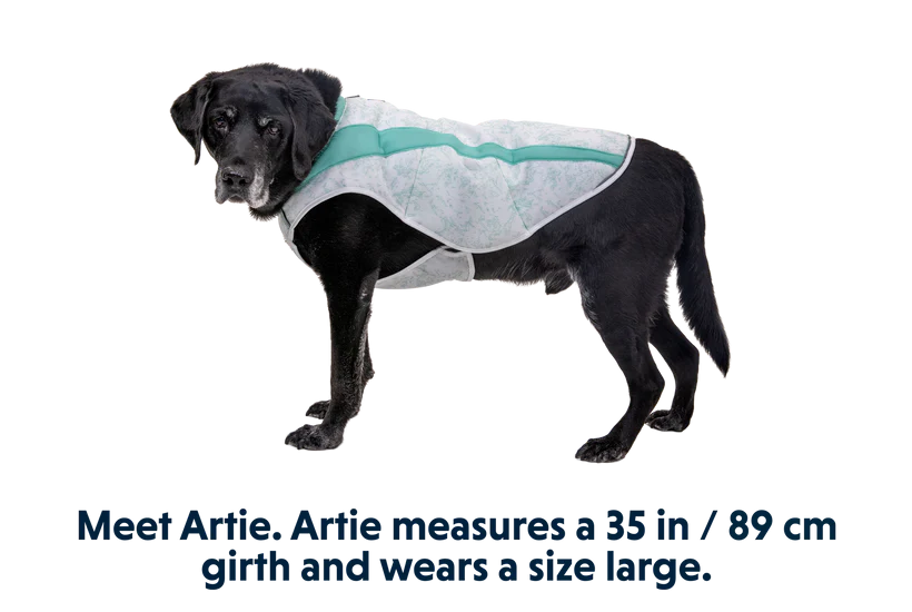 Ruffwear Swamp Cooler Cooling Dog Vest