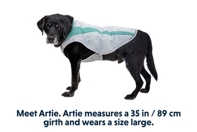 Ruffwear Swamp Cooler Cooling Dog Vest