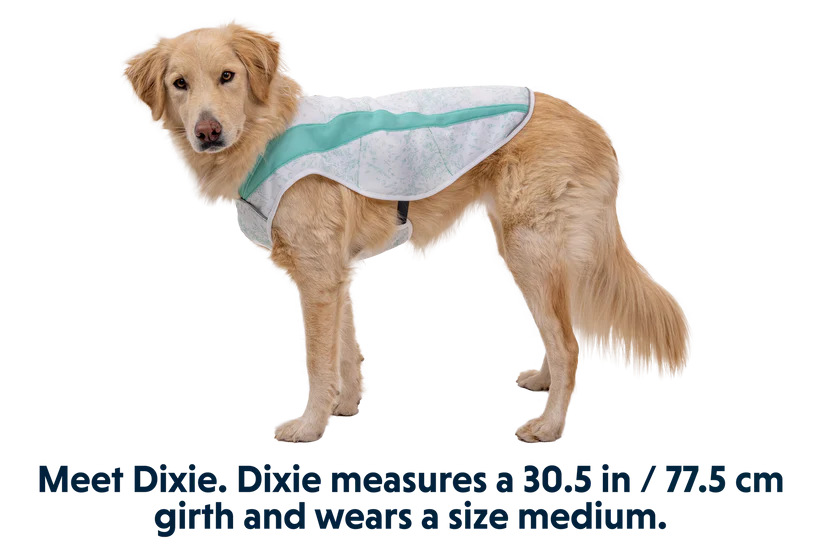 Ruffwear Swamp Cooler Cooling Dog Vest