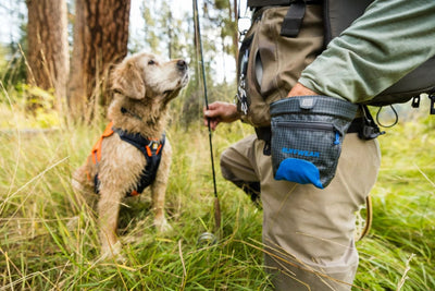 Ruffwear Waist-Worn Treat Trader Dog Treats Pouch