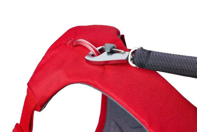 Ruffwear WebMaster Dog Harness