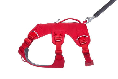 Ruffwear WebMaster Dog Harness