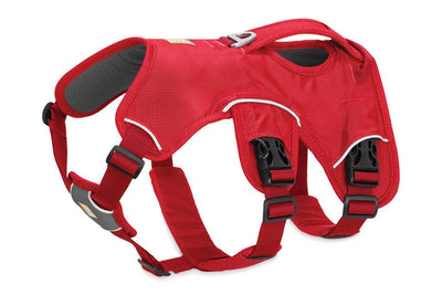 Ruffwear WebMaster Dog Harness