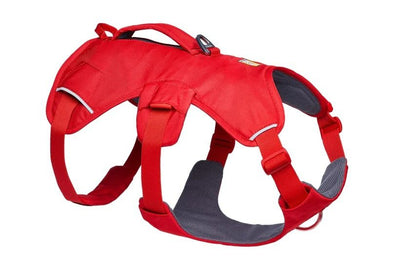 Ruffwear WebMaster Dog Harness