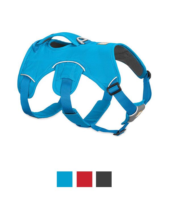 Ruffwear WebMaster Dog Harness