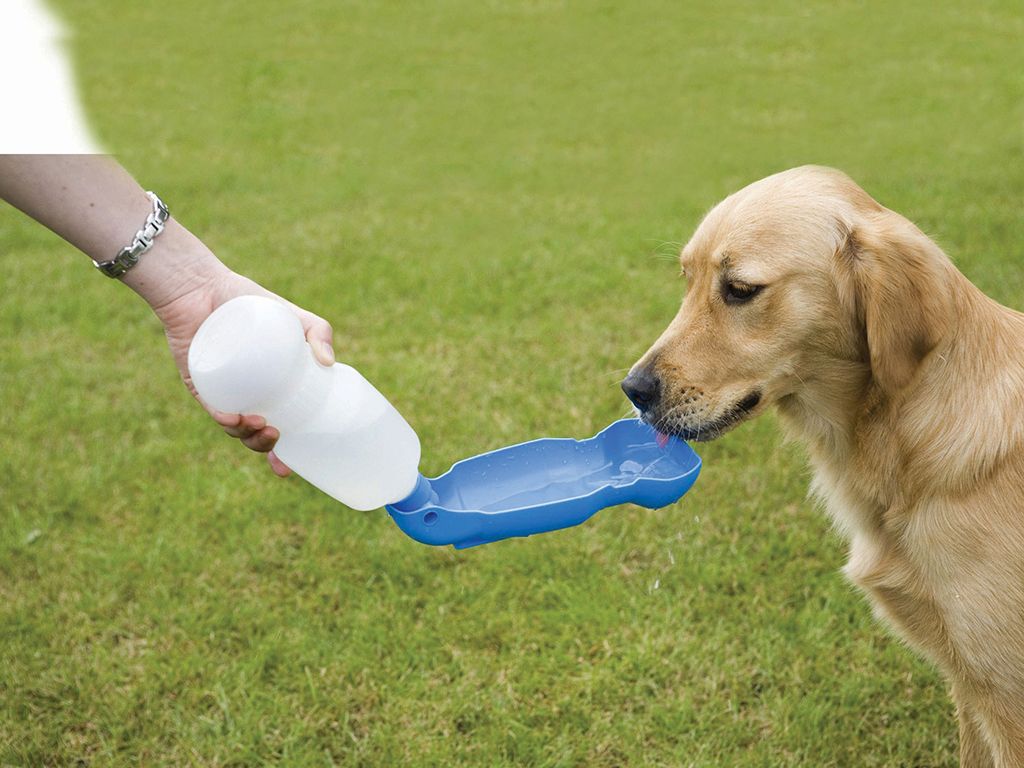 Savic Aqua Boy Dog Water Dispenser